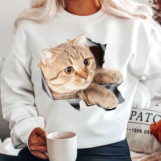 Bluza Sweet cat (7792350298330)